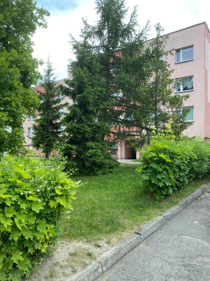 Zb Apartment Beige Piekary Śląskie 外观 照片